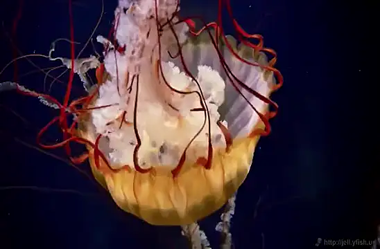 Snapshot of streamy_test15 chatting on 02-03-25, 08:13 streamy test15 online show from 02-03-25, 08:13