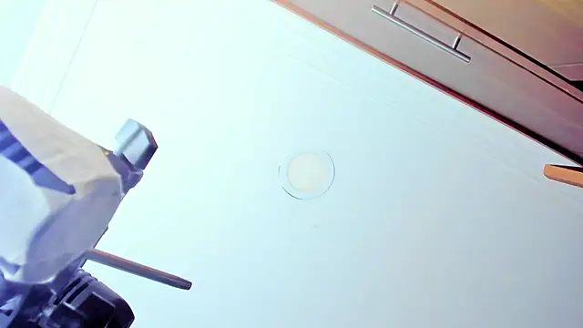 stella xue online show from 01-27-25, 08:17