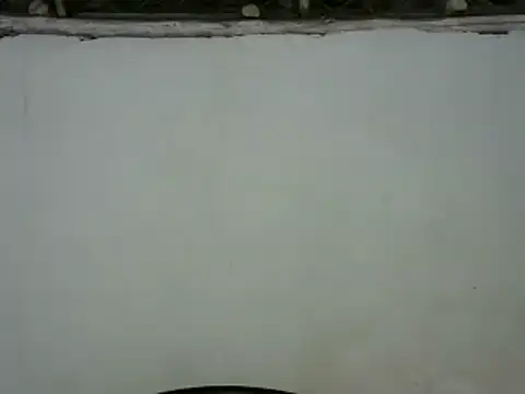 michel sc online show from 01-30-25, 08:43