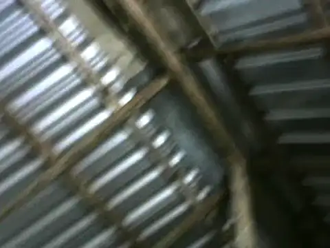 michel sc online show from 10-05-25, 10:24