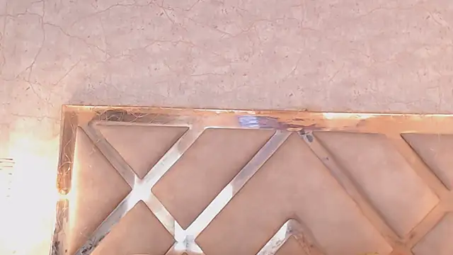 JoannaStanford online show from 03-19-25, 02:27