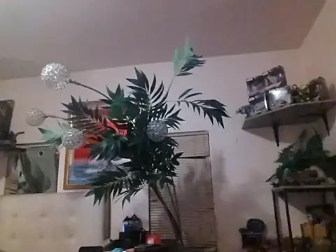 mrwinsalot88 online show from 12-19-25, 07:26