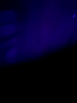 nehacplsex online show from 01-25-25, 06:57