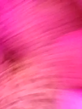 AvaChannel online show from 12-20-25, 10:55