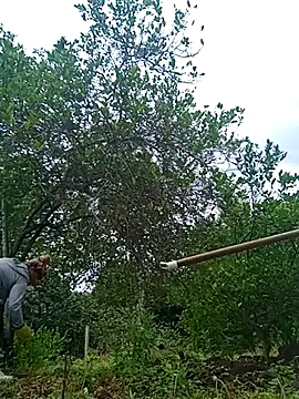 natally ross21 online show from 02-21-25, 12:50