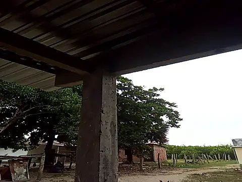 natally ross21 online show from 12-21-25, 12:01