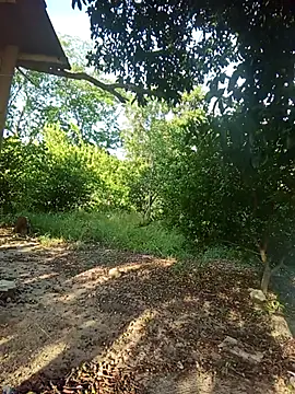 natally ross21 online show from 02-05-26, 12:43