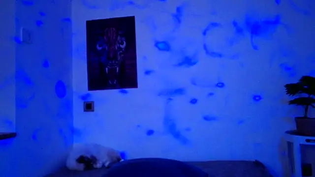 ValeryCrowley14 online show from 01-15-26, 09:03