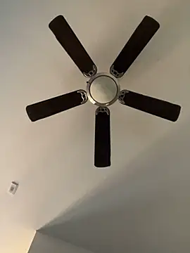 goldbuni online show from 12-19-24, 11:03