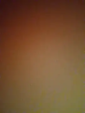 mendelicius online show from 02-27-25, 06:09