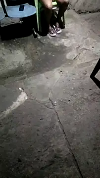 mendelicius online show from 11-11-25, 01:05