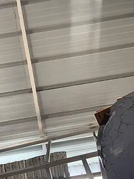 Snapshot of ThomasSAS chatting on 03-03-26, 04:57 ThomasSAS online show from 03-03-26, 04:57