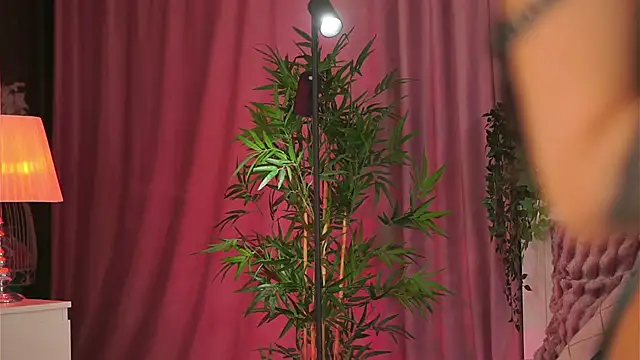 Snapshot of Evelyn_Evyyy chatting on 02-09-25, 07:19 Evelyn Evyyy online show from 02-09-25, 07:19