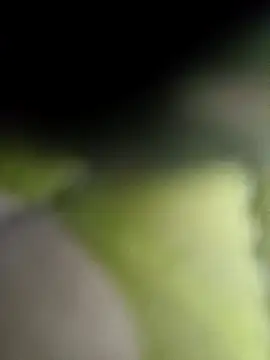 littlehornysons online show from 02-09-25, 02:38