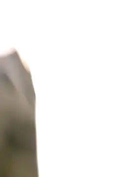 littlehornysons online show from 10-06-25, 02:09