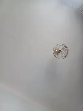 katymojadit online show from 01-20-25, 03:28