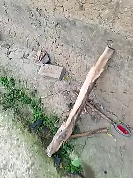 Snapshot of hairipussy2 chatting on 03-04-25, 12:50 hairipussy2 online show from 03-04-25, 12:50