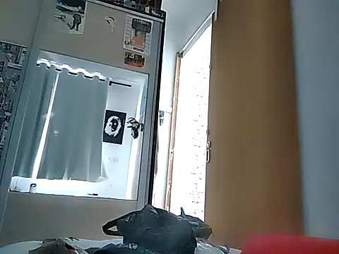 Snapshot of Binhosex2024 chatting on 03-12-25, 06:00 Binhosex2024 online show from 03-12-25, 06:00