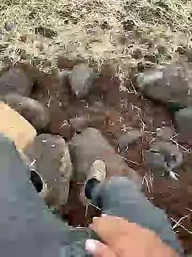 Snapshot of murokkk31 chatting on 12-11-24, 12:23 murokkk31 online show from 12-11-24, 12:23