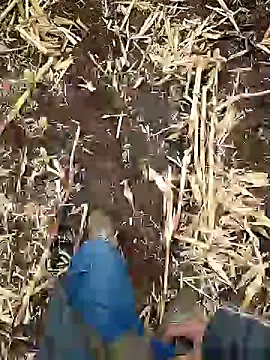 Snapshot of murokkk31 chatting on 01-05-25, 06:46 murokkk31 online show from 01-05-25, 06:46