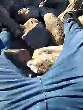 Snapshot of murokkk31 chatting on 01-10-25, 07:35 murokkk31 online show from 01-10-25, 07:35