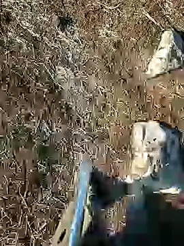 Snapshot of murokkk31 chatting on 01-15-25, 08:09 murokkk31 online show from 01-15-25, 08:09