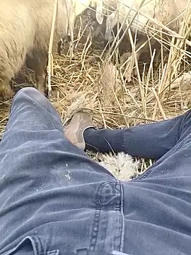 Snapshot of murokkk31 chatting on 10-29-25, 09:33 murokkk31 online show from 10-29-25, 09:33