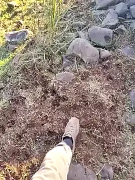 murokkk31 online show from 12-16-25, 12:21