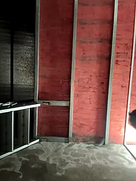 Hellen 111 online show from 11-11-25, 03:12