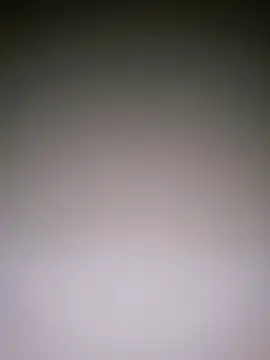 Snapshot of Dorset8360 chatting on 01-10-25, 05:02 Dorset8360 online show from 01-10-25, 05:02