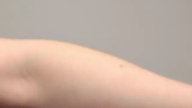 Snapshot of AliceMunro chatting on 01-25-25, 01:32 AliceMunro online show from 01-25-25, 01:32