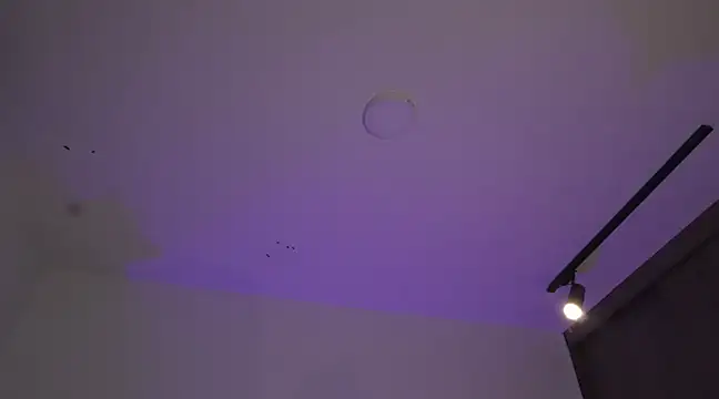 appolo allen online show from 03-17-25, 07:24