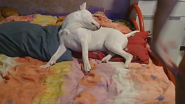 couplemilf2 online show from 12-06-24, 11:25