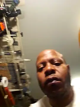 personalityalwayswins2 online show from 12-11-24, 06:04