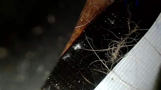 Snapshot of Gigadickman chatting on 12-03-24, 02:47 Gigadickman online show from 12-03-24, 02:47