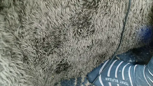 Snapshot of Gigadickman chatting on 12-13-24, 09:02 Gigadickman online show from 12-13-24, 09:02