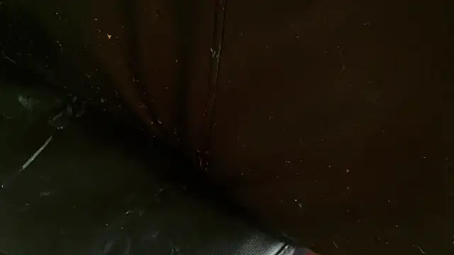 Snapshot of Gigadickman chatting on 01-02-25, 10:11 Gigadickman online show from 01-02-25, 10:11