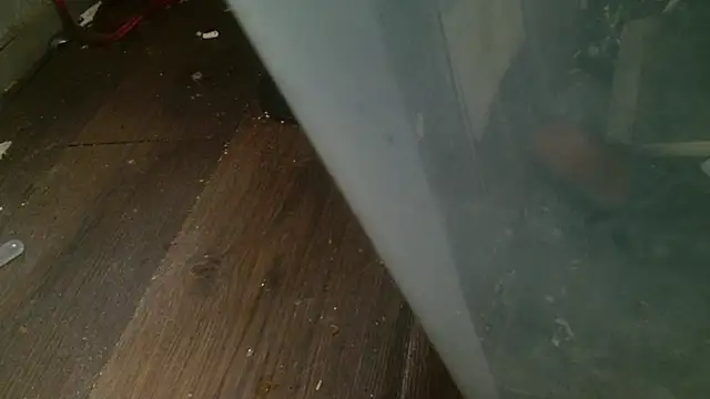 Snapshot of Gigadickman chatting on 02-27-25, 04:31 Gigadickman online show from 02-27-25, 04:31