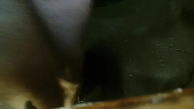 Snapshot of Gigadickman chatting on 10-04-25, 02:31 Gigadickman online show from 10-04-25, 02:31