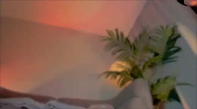  cherry bloss  online show from 03-21-25, 05:21