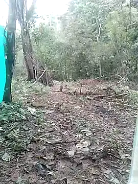 andreu mature online show from 03-03-25, 04:14