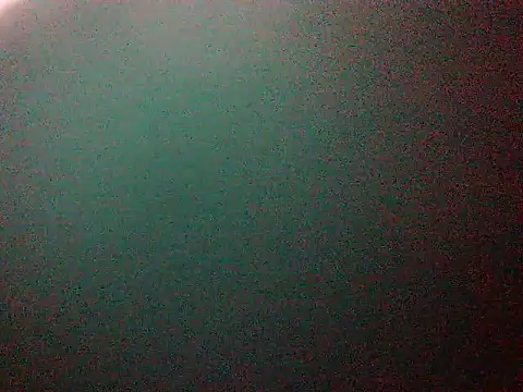 mumbi91 online show from 01-11-25, 01:59