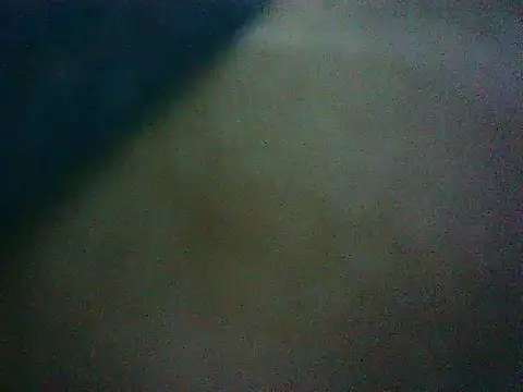 mumbi91 online show from 01-16-25, 04:38