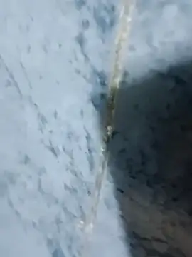 Chancho141414 online show from 10-18-25, 02:03