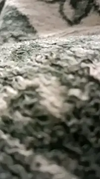 sokrates13 online show from 01-11-25, 07:38