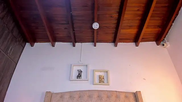 Snapshot of allisson_m chatting on 01-12-26, 12:10 allisson m online show from 01-12-26, 12:10