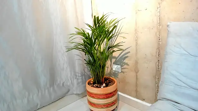 Alan greek 1 online show from 01-31-25, 01:33