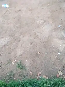 KINGJACKOFF online show from 12-26-24, 03:27