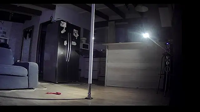 Snapshot of FLakiReve chatting on 02-03-26, 10:15 FLakiReve online show from 02-03-26, 10:15