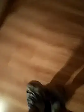 pana1978loco online show from 11-29-25, 06:49